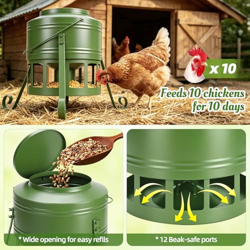 Metal Chicken Feeder, 20Lbs Large No Waste Chicken Feeder with 12 Ports, Heavy Duty Poultry Feeder with Lid & Handle, Rat Proof Rust Proof Feed Box for Chickens Ducks Geese Backyard Farm (Green) - color: Green