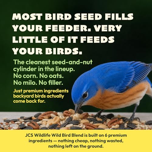JCs Wildlife Wild Bird Blend Seed Cylinder with Hole, Sunflower Safflower Pecans Peanuts Bird Food for Outside Feeders, Cardinals Woodpeckers Chickadees Nuthatches, Made in the USA, 1.5 lb, 6 Pack - size: 6 Cylinders