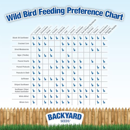 Backyard Seeds Finch & Small Songbird Frenzy 40lbs - Premium Nyjer Thistle Seed Blend for Finch Feeders, Small Bag of Wild Bird Food - size: 40 Pound (Pack of 1), style: Finch Frenzy
