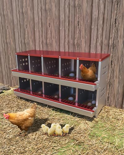 Chicken Nesting Box for Laying Eggs, 10-Compartment Galvanized Steel Nesting Boxes for Hens, Front Access Egg Tray, Easy Wall Mount Design, Includes 10 Training Eggs - color: Red