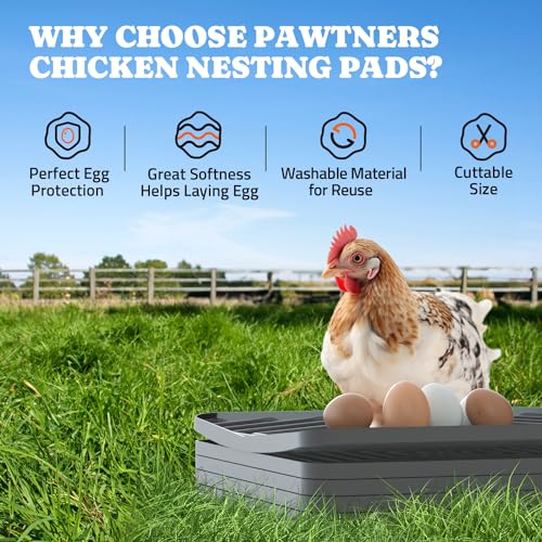 Pawtners 4-Pack Chicken Nesting Box Pads, Reusable Chicken Laying Pad, Gray | Washable Silicone Enduring Nesting Box Liners 12"x 12" Chicken Laying Pads for Laying Egg Poultry Nest Box Pads Easy to Clean - color: Grey - 04Pack