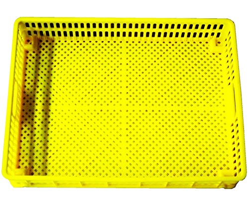 HATCHER Basket Egg Tray for Our Cabinet INCUBATORS Chicken