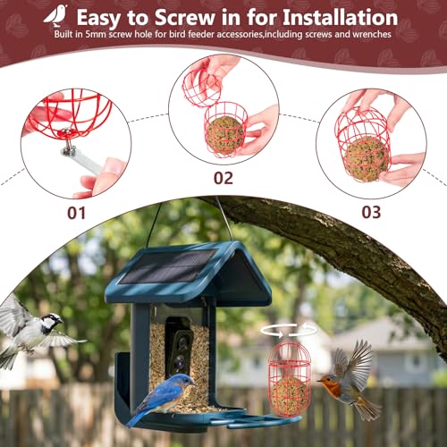 SheeChung Metal Suet Ball Holder Compatible with Bird Buddy,5mm Screw Hole | Smart Feeder Replacement Part,Bird Buddy Accessories,Suet Holder,Easy Attachment for Bird Feeders,Easy to Clean & Refill - color: Red Oval, size: only Suet Ball Holder