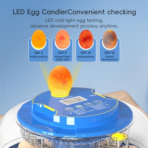 Incubators for Hatching Eggs Automatic Egg Incubator with Temperature Control Humidity Display 12 18 48 Egg Capacity for Chicken Duck Goose Eggs Digital Display Auto Turner 360° View (Blue, 18 Egg)