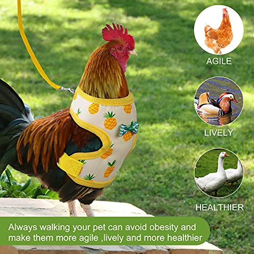 Frienda 2 Pcs Adjustable Chicken Harness and Leash Set Spring Summer Comfortable Elastic Hen Vest Breathable Harness for Hens Duck Goose Pet Training Walking Supplies(Pineapple, Strawberry,Medium) - size: Medium
