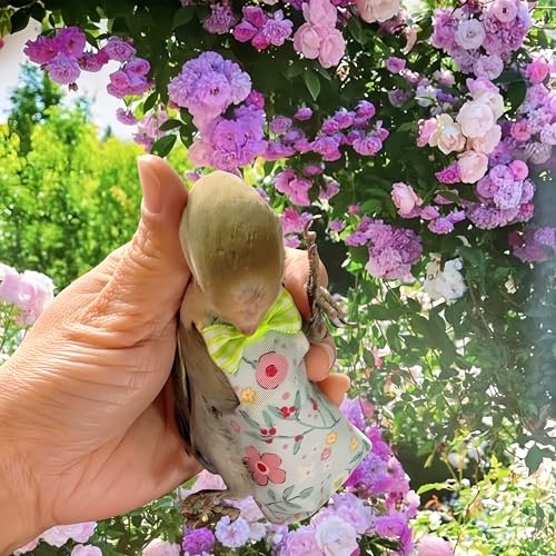 2 Pcs Bird Diapers Bird Harness Flight Suits Diapers with 80in Flying Leash Reusable Parrot Nappy with Waterproof Inner Layer for Cockatiel Budgie Conure Parakeet Lovebird-Blue&White