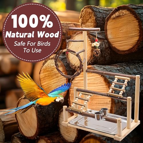Bird Playground, Natural Wooden Parrot Stand Suitable for Small and Medium Birds, with Feeding Cups, Swing, Chew Toys,Bird Perch Ideal for Parakeets, Budgerigars,Canaries,Conures