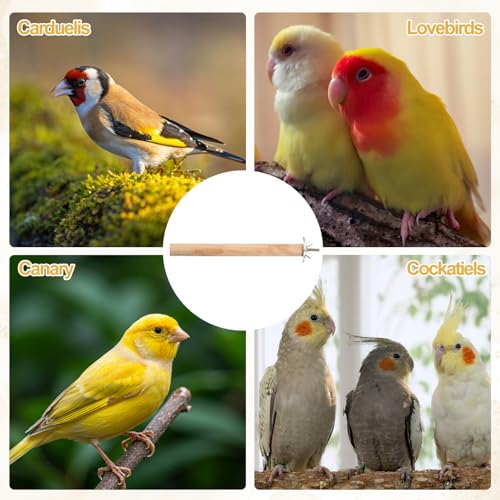 MECCANIXITY Natural Wooden Bird Branch, Length 7.9'' Dia 16mm, Wooden, Natural Bird Perches Peeled Intended for Cockatiels/Budgies/Parakeets, Pack of 2