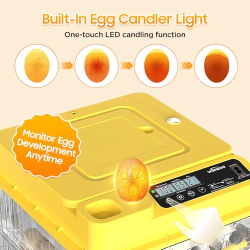 Egg Incubator - 2026 New Egg Incubator with Automatic Egg Turning and Humidity Control,Large Poultry Hatcher for Chickens Birds Ducks (288 Eggs)