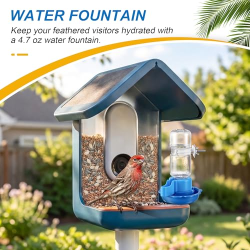 3 in 1 Nutrition Set, Compatible with Bird Buddy Feeders, Outdoor Bird House Accessories with Water Fountain, Fruit Spike & Jelly Tray Feeder, Easy to Attach