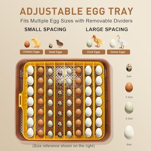 Gen IV – 56 Egg Fully Automatic Incubator, 2026 UpgradedDesign, Intelligent Sensor-Based Humidity & Temp Control, Custom Days, Adjustable Auto Turning & Stop, Chick Separator, Flexible Egg Spacing - size: 56 egg-brown