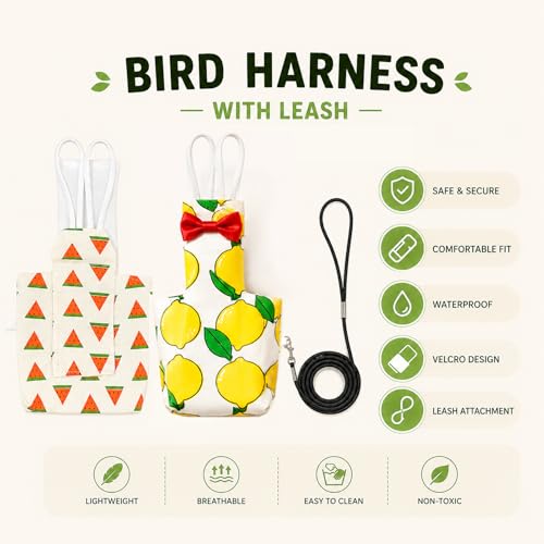 2Pcs Pigeon Diaper Pants Harness and Leash, Bird Diapers for Pigeons | Washable Reusable, Large Capacity, Parrot Diapers for Indoor & Outdoor Flying Training - size: XL