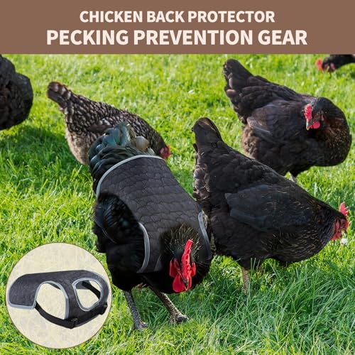 3-Pack Chicken Saddle for Hens, Back Protector Aprons | Adjustable strap design shields hen plumage during mating & flock activity, backyard poultry farm daily accessory