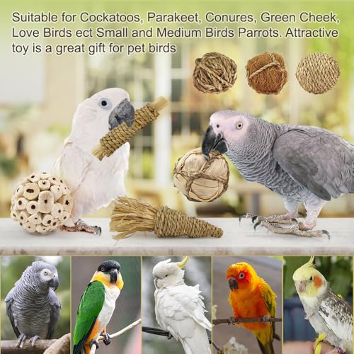 7Pcs Bird Toy Large Chewing Balls - Natural Soft Chew Shredding & Foraging Toy for Cockatiel Conure Quaker Parrot Budgie Parakeet Rabbit Bunny Guinea Pig Chinchilla - color: Model 1