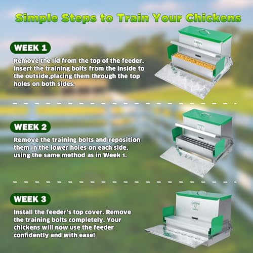 COZOFU's Feeders Automatic Chicken Feeder - Large Capacity for 12 Chickens, Lasts 12 Days (40lb Feed), Durable Galvanized Steel, Rat-Proof, No-Spill, Weatherproof Lid - color: Green, size: 40LB