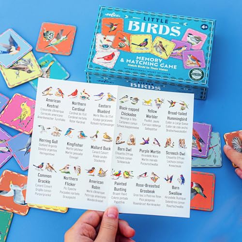 eeBoo Little Birds Memory & Matching Game, Ages 4+, 1-4 Players | Introduces common backyard bird species. Sharpens recognition, concentration & memory skills. Includes 36 tiles, 18 pairs - style: Birds