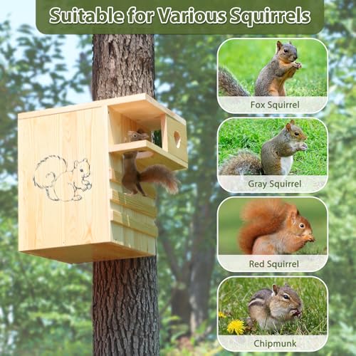 Extra Large Squirrel House for Outside, Squirrel Box with Predator Guard | Pine Wood Squirrel Nesting Box Outdoor, with Exterior Porch, Suitable for Squirrel Families and Chipmunks, Easy to Assemble - size: Extra Large: 11"wide