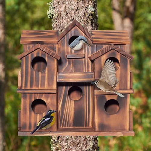 MIXUMON Wooden Bird Houses for Outside – 10 Rooms Multi-Chamber Bird House, Carbonized Pine Rustic Finish, 1.57" Entrance Holes, Individual Cleaning Doors, Decorative Outdoor Bird Nesting Box