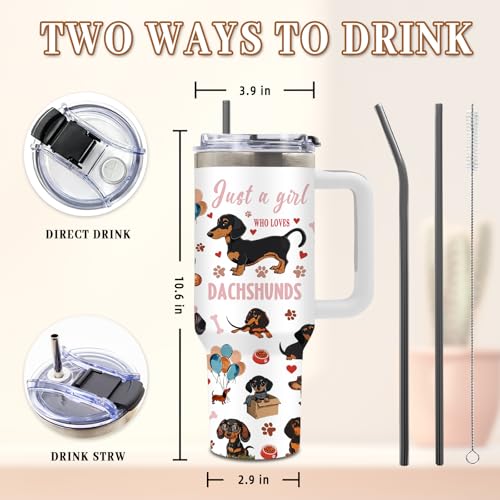 DUUV Dachshund Tumbler 40oz, Insulated Dachshund Gifts for Women Girl | Cute Weiner Dog Tumbler Leakproof, Weiner Dog Gift for Dogs Lover, Graduation Birthday Gift for Mom Friend Women, 1 Pack - color: Dachshund
