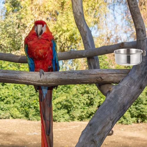 Stainless Steel Bird Food Bowl Parrot Feed Cup with Brackets Bird Cage Feeder Cups for Parakeets Cockatiels Doves Pigeons Hanging Food and Water Dish 4-Pack 4.92 X 3.93 X 3.54 in - size: 4PCS