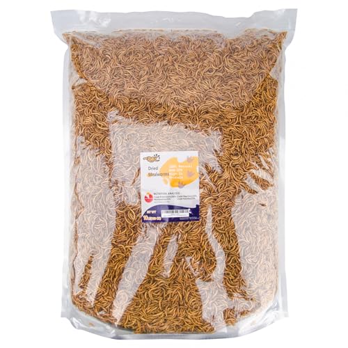 RANZ 10LB Dried Mealworms Bulk Bag for Chickens & Wild Birds, High Protein - size: 10 Pound (Pack of 1)