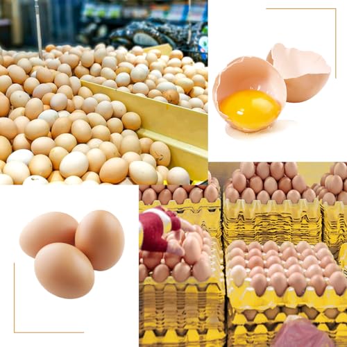 20 Flats 30-Cell Egg Crate, Holds 30 Eggs | Cardboard Egg Cartons, Sturdy and Stackable Egg Flats, Perfect Egg Crates for Fresh Eggs, Chicken Farm - size: 20 Pack yellow