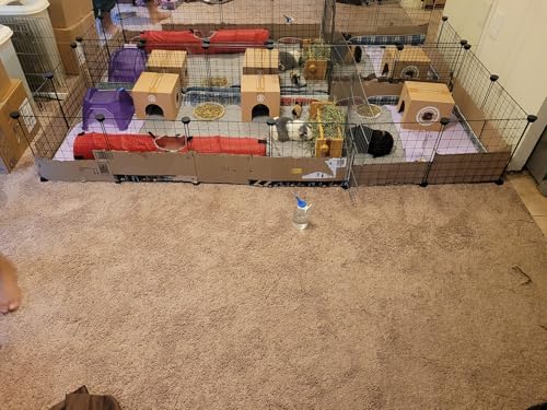 LANGXUN 16pcs Small Animal Playpen with Waterproof Mat, Pet Playpen, Rabbit Guinea Pig Cages, Puppy Kitten Playpen | Indoor & Outdoor Portable Metal Wire Yard Fence 13"x13" - style: 16 Metal Panels & Mat(13'' x 13")