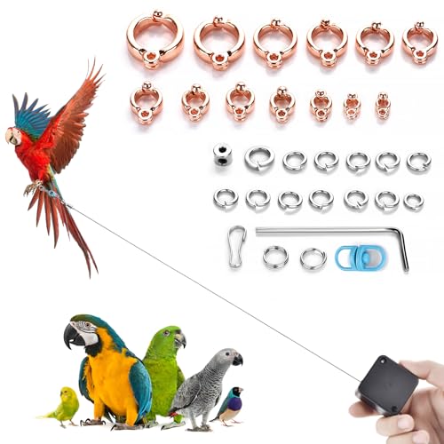 6.6Ft Bird Leash, with 13 Different Size Foot Ring Retractable Anti-Bite Parrot Harness, Bird Flight Training Rope for Budgies,Cockatiels,Psittacula Longicauda,Mini Macaws（Rose Gold） - color: Rose Gold