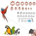 6.6Ft Bird Leash, with 13 Different Size Foot Ring Retractable Anti-Bite Parrot Harness, Bird Flight Training Rope for Budgies,Cockatiels,Psittacula Longicauda,Mini Macaws（Rose Gold） - color: Rose Gold