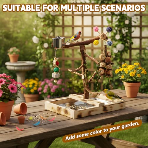 Large Natural Wood Bird Perch Playground for Small Parrots Budgies Conures Lovebirds