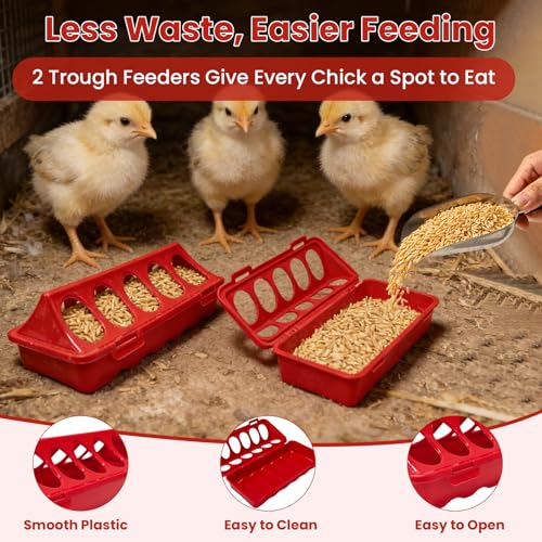 Chick Feeder & Waterer Starter Kit with 2 Trough Feeders and Roost Bar – No-Leak Baby Chick Waterer and Feeders Set for Chicks, Ducklings, Quail & Small Poultry – Essential Brooder Supplies
