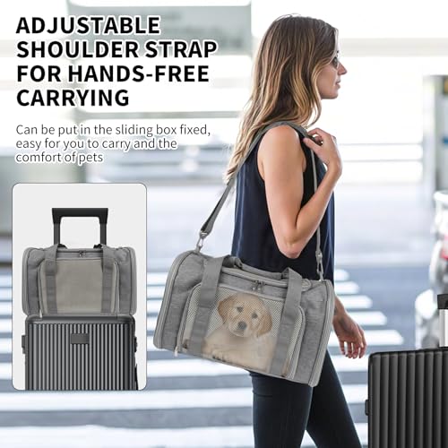 Cat Carrier, Soft-Sided Airline Approved Pet Carrier Case with 4 Ventilated Windows for Cats and Dogs Under 10-25Lbs (17.0 L x 11.0 W x 11.0 H Inch, Grey) - color: grey, size: 17.0"L x 11.0"W x 11.0"H