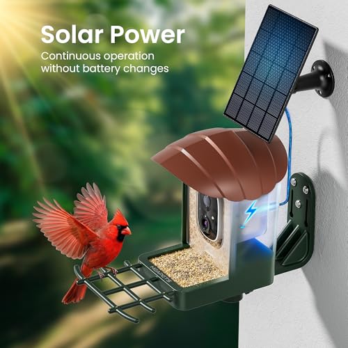 Bird Feeder with Camera Solar Powered, 3K HD Video, AI Bird Recognition, Auto Capture with Instant Notifications, IP65 Weatherproof, Gifts for Seniors Bird Watchers, Brown - color: Brown-3K