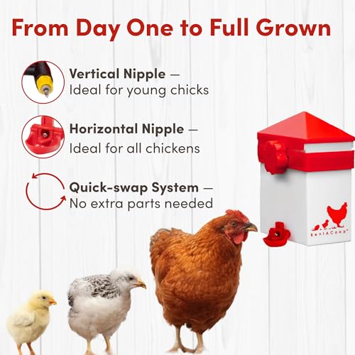 RentACoop 64oz Chicken Drinker with 2 Versatile Nipples