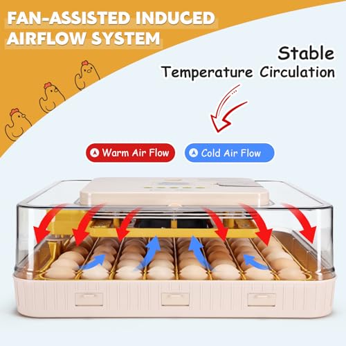 Incubator for Hatching 56 Eggs,Temperature Control & Auto Humidification | Stable Temperature & Humidity, Auto Egg Turning, Built-in Candler, View Window, Alert System for Lab School Farm