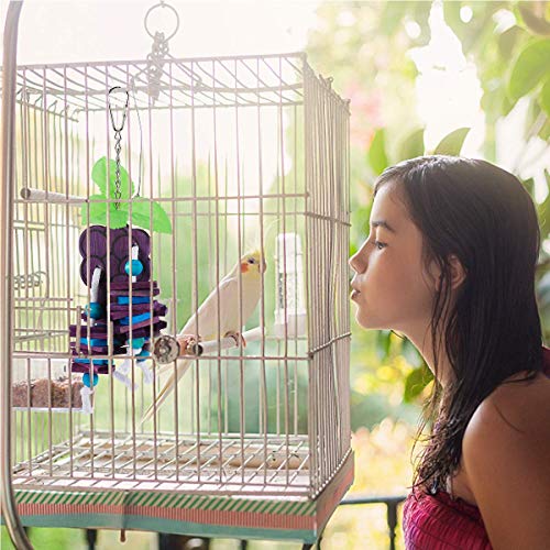Hamiledyi Natural Wood Block Bird Cage Toys Parrot Chewing Toy Orange&Apple& Banana&Grapes Shaped Hanging Foraging Toy for Small&Medium Birds Parakeets Cockatiels,4pcs - style: A