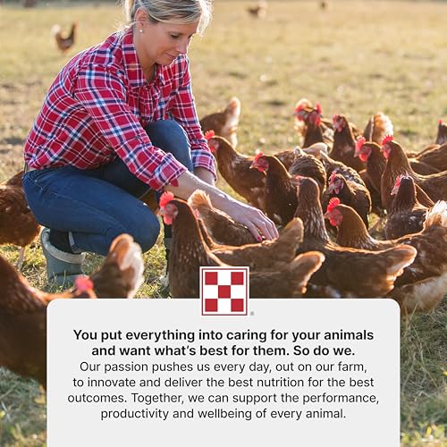 Purina Start & Grow | Nutritionally Complete Medicated Chick Feed Crumbles | 25 Pound (25 lb.) Bag