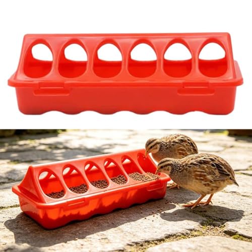 Automatic Chicken Feeder and Water Dispenser – 12-Hole No-Waste Feed Box for Chicks Quails Pigeons, Plastic Small Poultry Feeder with Locking Design, Bird Cage Accessories, 7.9×3.5×2.6 Inch