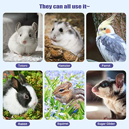 3Packs Parrot Chewing Toy Beak Trimmer Calcium Stone with BellParrot for Cockatiel Conure African Grey Amazon Parrots Parakeet Cockatiel Bird (Style-2)