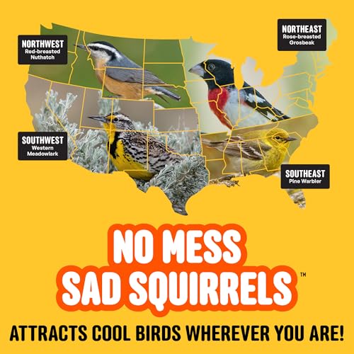 Cool Birds No Mess Sad Squirrels Hot Bird Seed, 10 lb | Spicy shell-free blend of peanuts, sunflower hearts & chili pepper oil – Birds can't detect heat, critters can