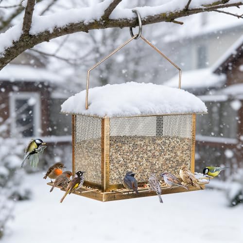 Bird Feeder, 6LB Large Capacity Bird Feeders for Outdoor Hanging | Heavy Duty Metal, Waterproof, Drain Holes, 4 Perches, Easy to Fill, Wild Birdfeeder, For Garden Yard Outside Backyard - size: Horizontal, 6 pounds