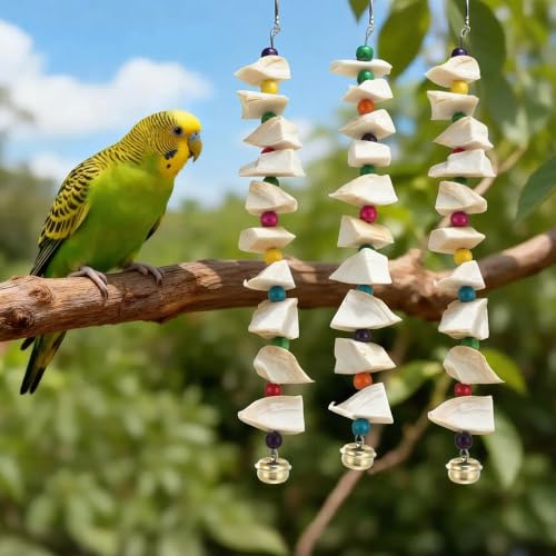 Bird Toys with Cuttlebone, Grinding Stone for Bird, 3 Pcs | Prevents Destructive Chewing, White, Colorful