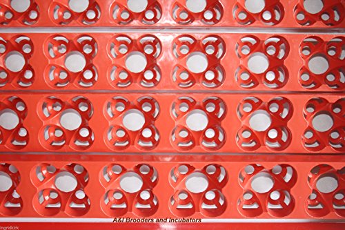 A&I Brooders and Incubators 110Volt AC 144 Quail Egg Automatic Turner RPM for Incubator Avian Poultry Local USA Distributor * 110 Volt * Full Warranty