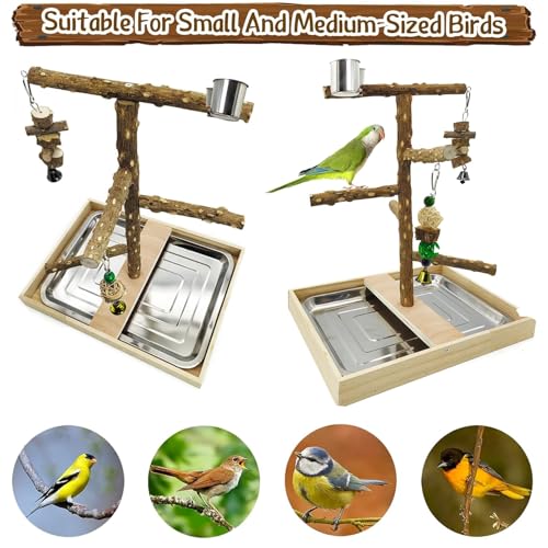 Tfwadmx Bird Perch Natural Wood Stand Toy Parrot Play Stand Platform Bird Cage with Removable Tray and 2 Stainless Steel Cups for Parakeets Canaries Cockatiels Conure Lovebirds