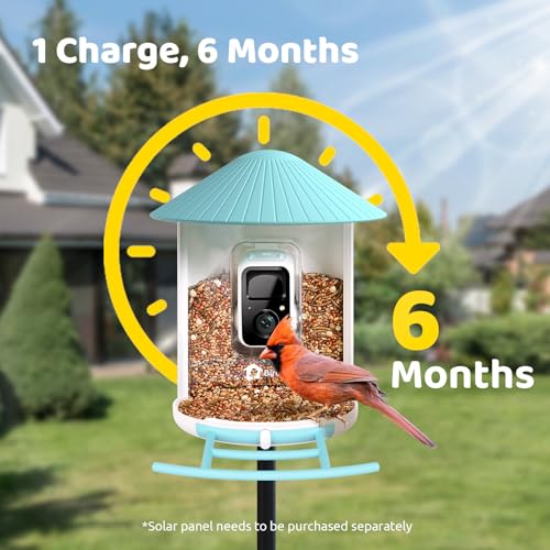 NETVUE by Birdfy Smart Bird Feeder with Camera, No Subscription, 1080P | AI Bird Species Identification, 2MP Night Vision, Live Stream, 2.4GHz Wi-Fi, IP66 for Outdoor, Gifts for Bird Lovers, Blue - color: Blue, style: AI
