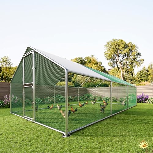 Large Walk in Chicken Run Metal Chicken Coops with Split-Door 10×20 FT | Outdoor Cage Peak Hen House for 20-30 Chickens, With Waterproof Hardware Cloth Cover,Spire Roof Hen House with Security Lock - size: 228.0"L x 119.0"W x 79.0"H