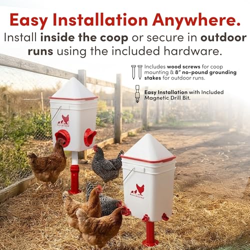 RentACoop Chicken 25lb No-Waste Feeder & 5 Gallon Automatic Waterer Set