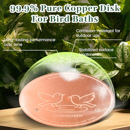 Bird Bath Copper Disk, 4 Inch, 99.9% Pure Copper, 1 Pack | 0.6mm Thick, 99.9% Pure Copper with Triple-Point Support, Fits Most Bird Baths, Bowls and Outdoor Water Features