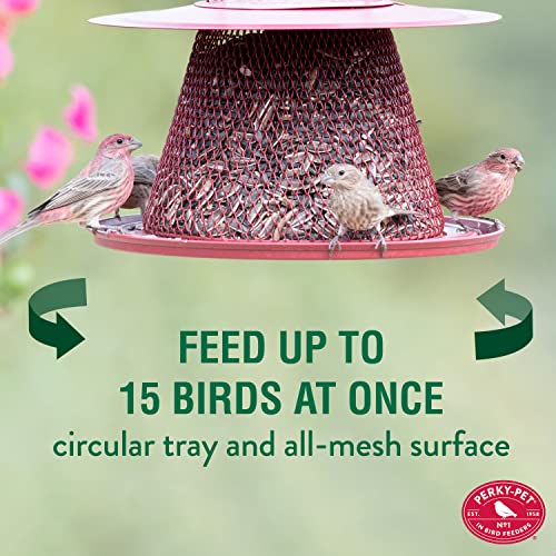 Perky-Pet Red Cardinal Wild Bird Feeder-2.5 lb Seed Capacity,Holds Up to 15 Birds Simultaneously,Metal Hanging Feeder for Outdoors,Collapsible Mesh Design,Built-In Hook&Circular Tray,C00322(Pack of 6) - size: 6 Pack
