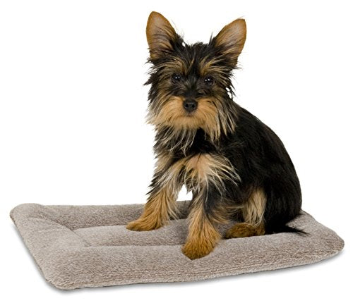 Petmate Aspen Pet Rectangular Kennel Mat, Dark Gray, for 19' Crates (Pack of 2) - size: Up to 10 lbs (Pack of 2)